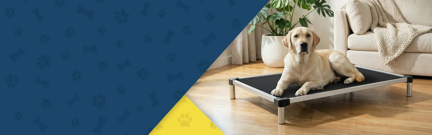 Indestructible Comfort for Your Dog