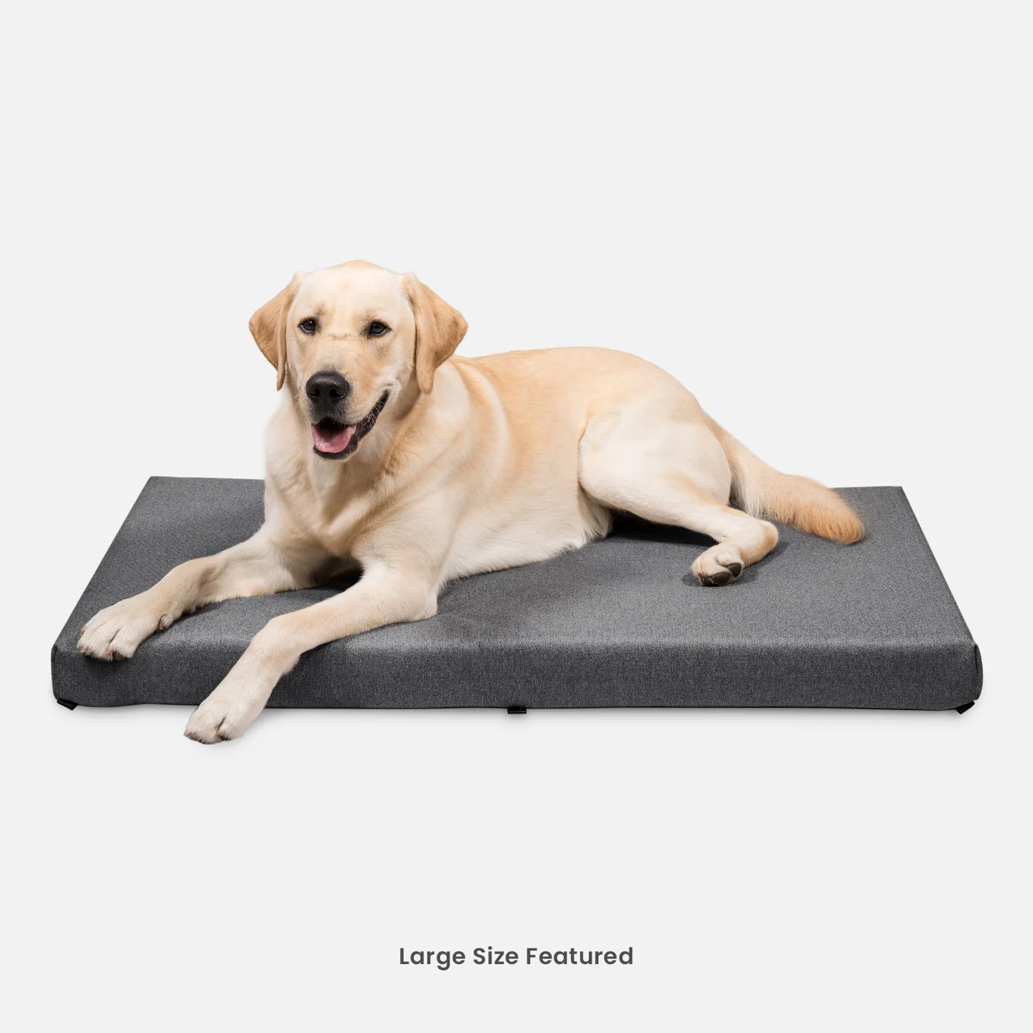 Tough Ripstop™ Dog Beds