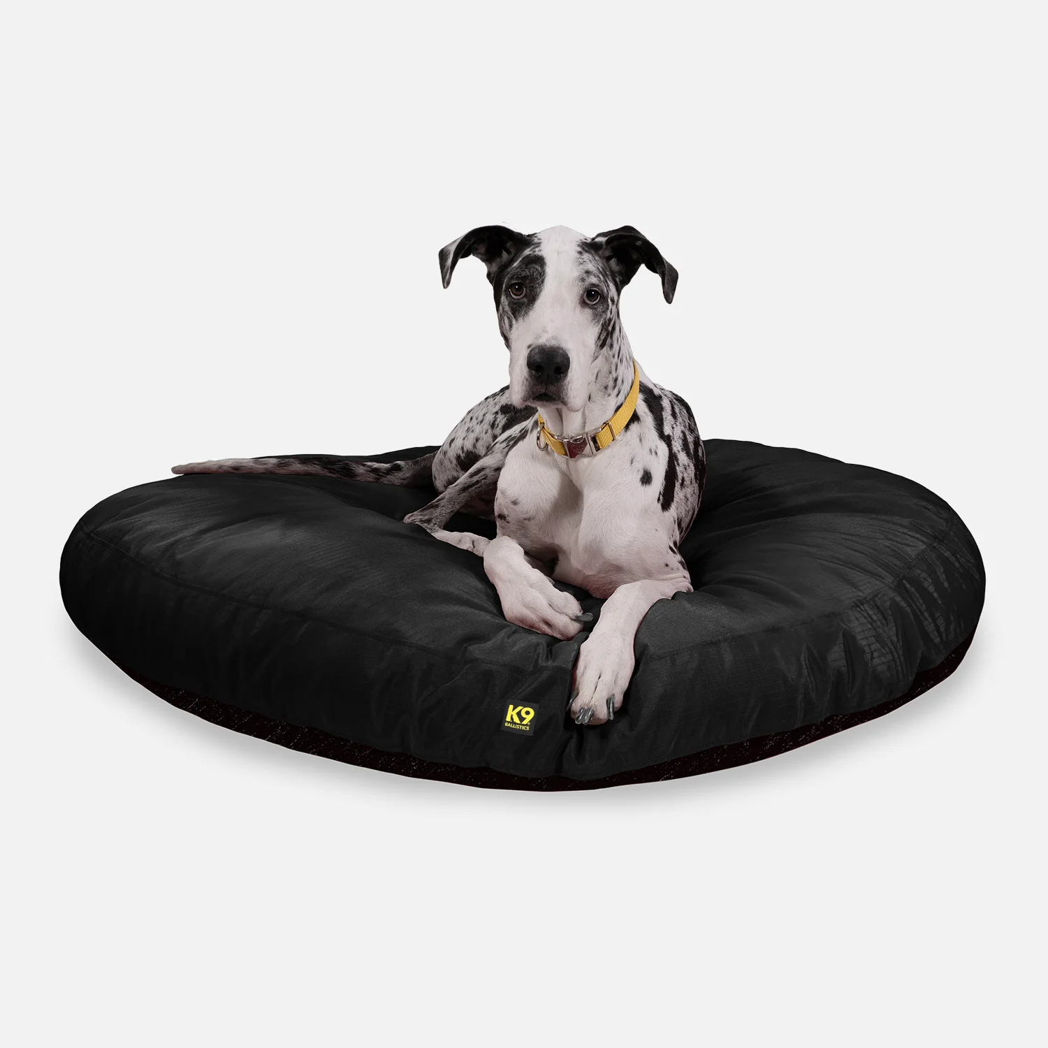 Dog Beds for Tough Chewers & Diggers